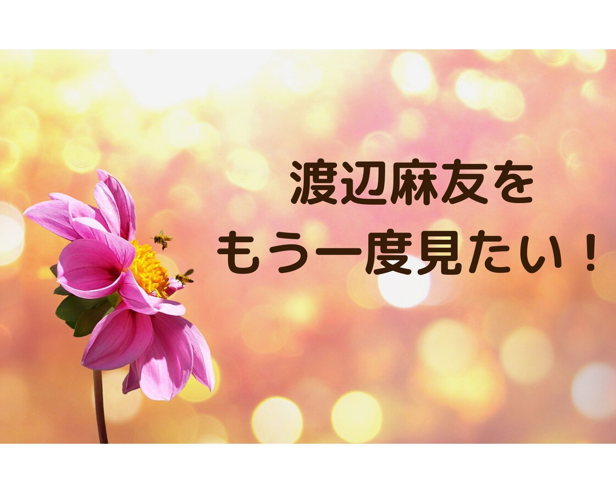 渡辺麻友のakb卒業後から引退までの活動内容や経歴まとめ もう一度見たい うつくしきかなあうんの呼吸