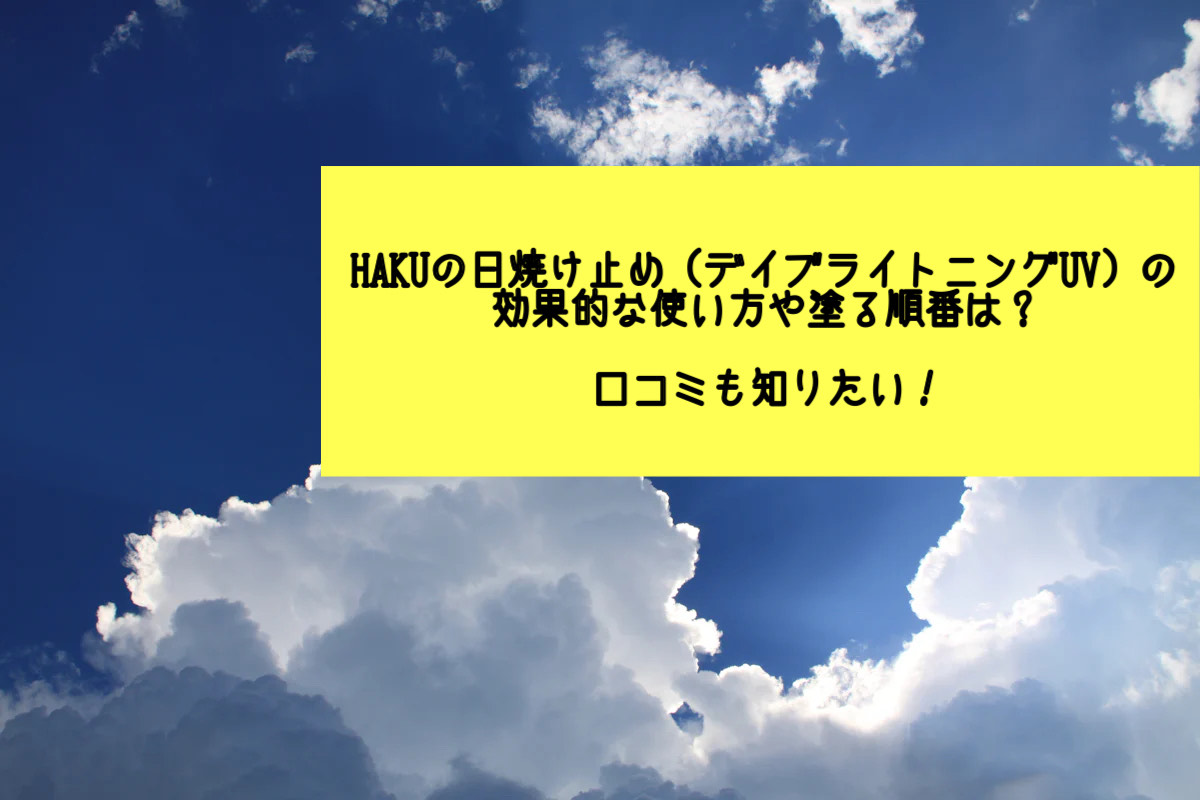 HAKUデイブライトニング使い方